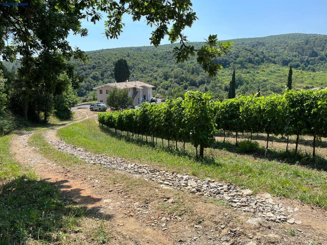 Agriturismo Tenuta Il Molino