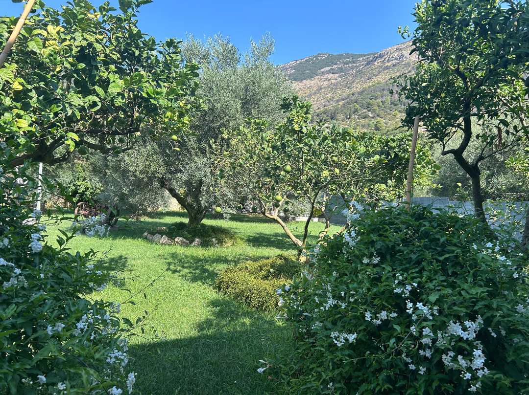 B&B Il Suono della Campagna主图