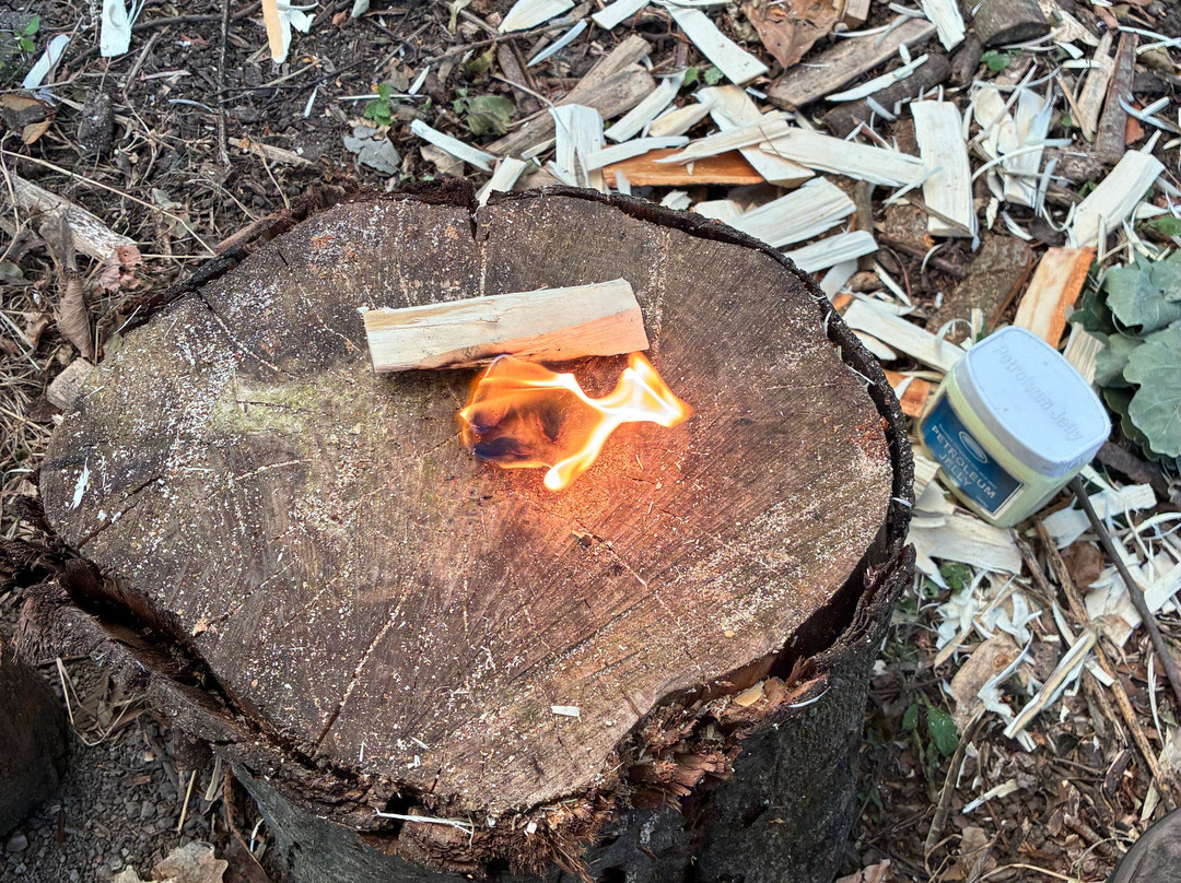 Wild Bushcraft Company-Corwen必去景点