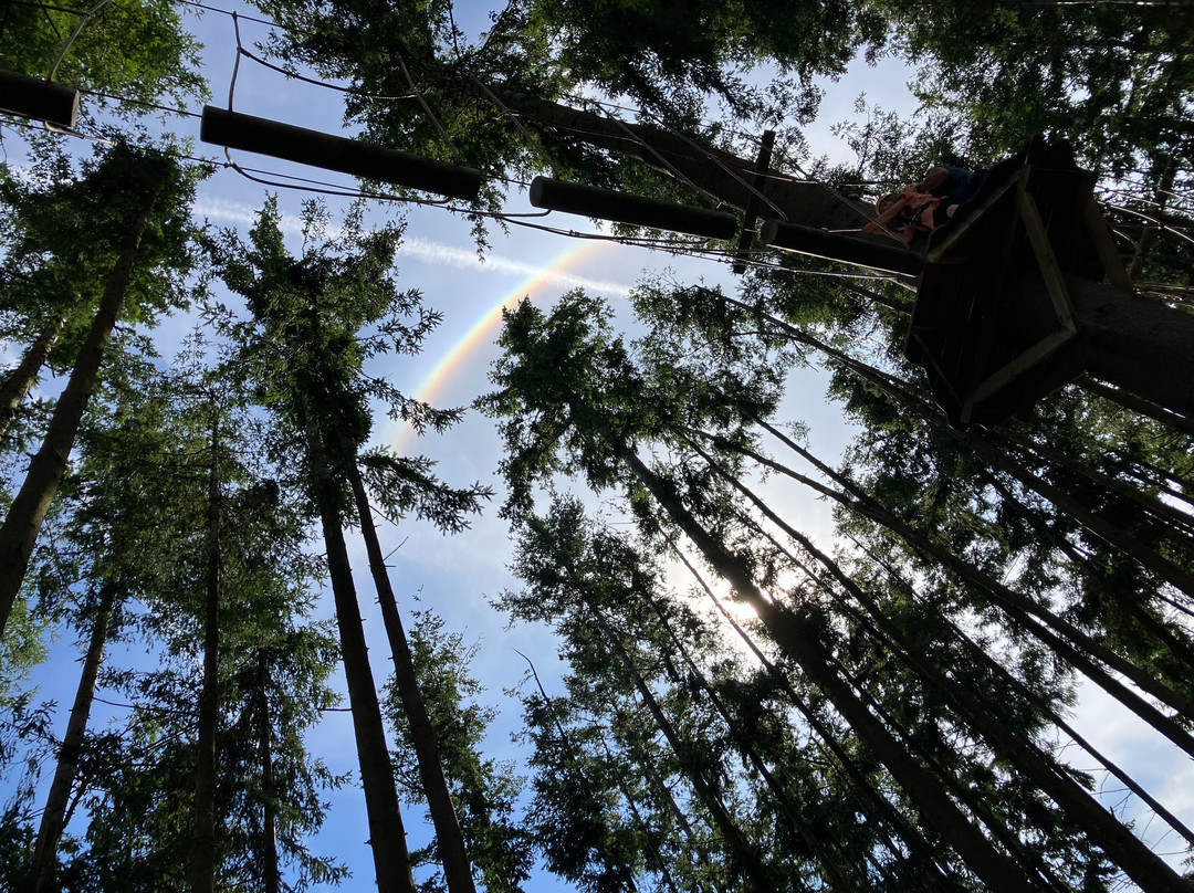 The Tunnel Tree Tops High Ropes-Charmouth必去景点