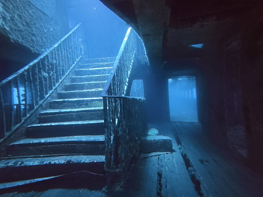 Paradise Diving Malta-史克华必去景点