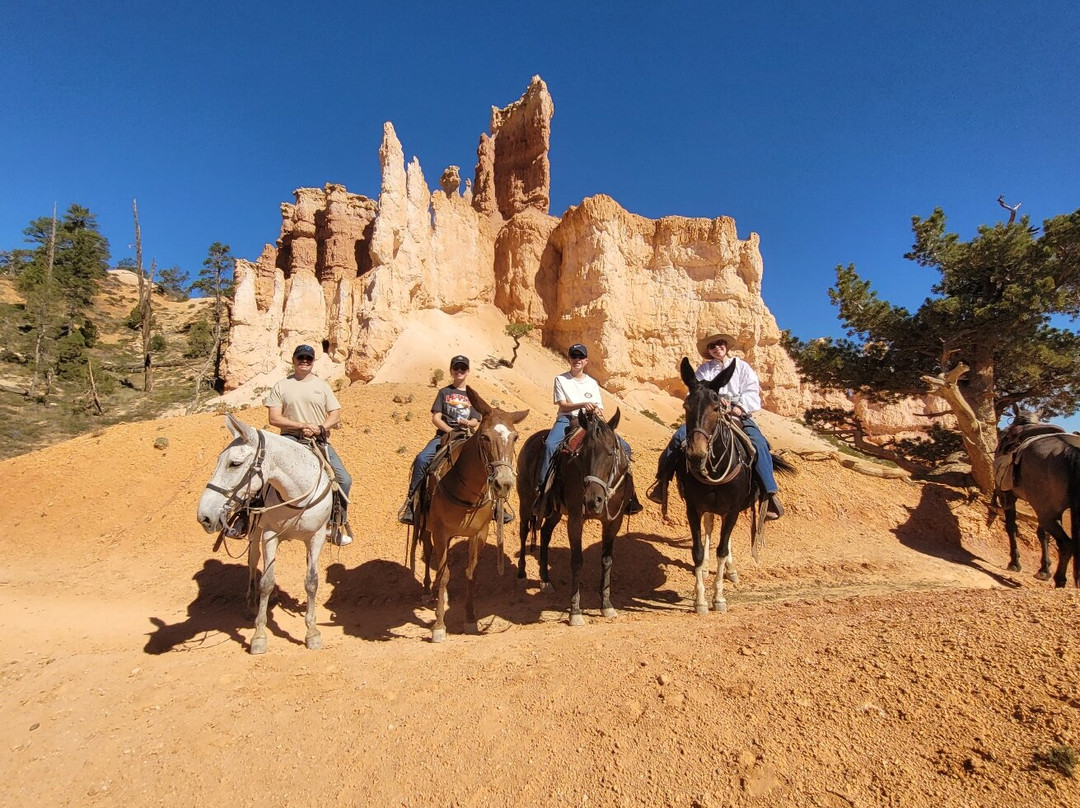 Canyon Trail Rides-特罗皮克必去景点