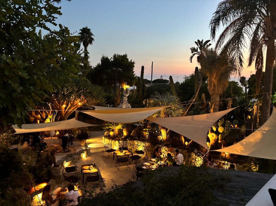 Cactus Lounge Cafe&Restaurant