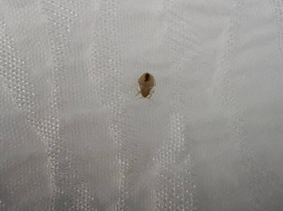 贝斯特韦斯特达特茅斯旅馆主图