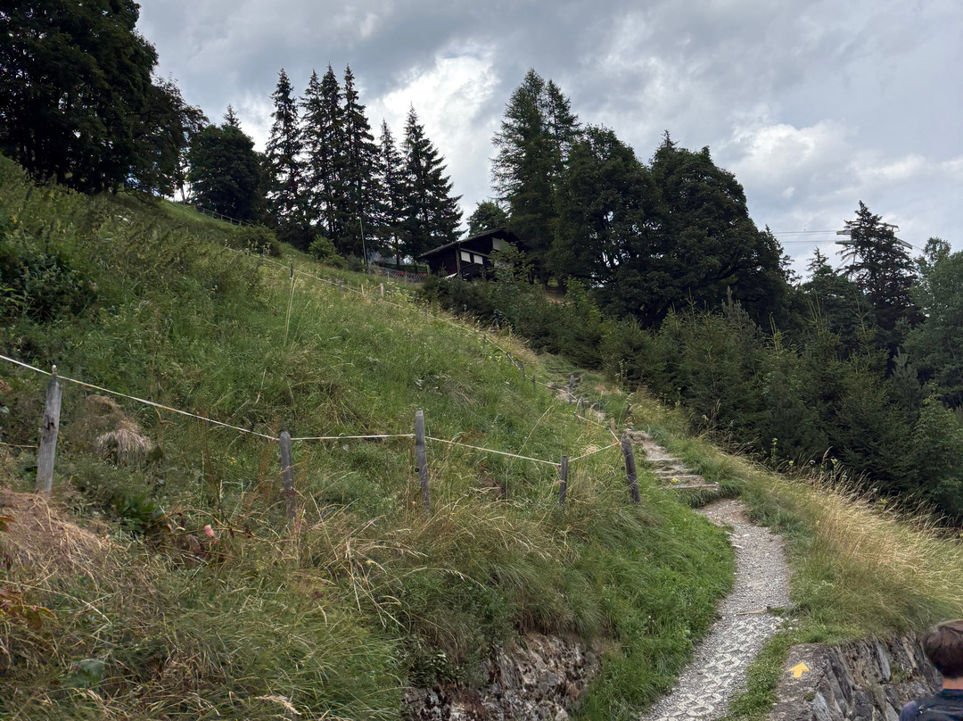 Blumental Panorama Trail-米伦必去景点
