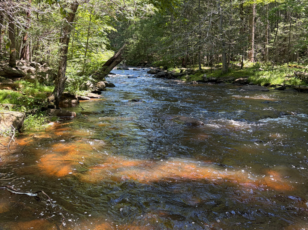 Hacklebarney State Park-Long Valley必去景点