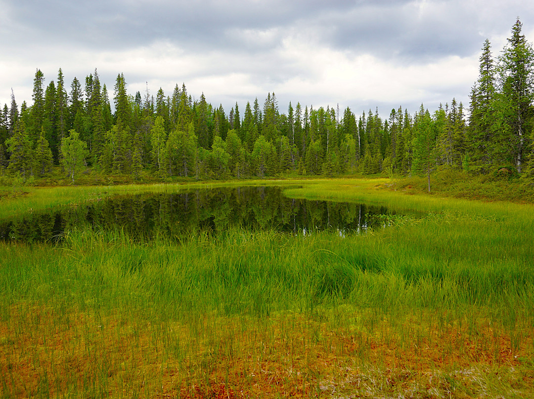 Syote National Park-Pudasjarvi必去景点