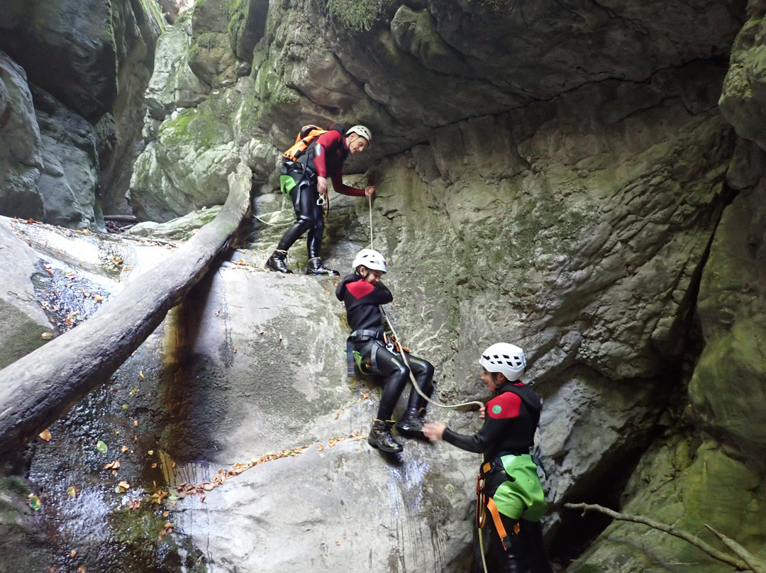 Fischer Adventures Day Tours-圣加仑必去景点
