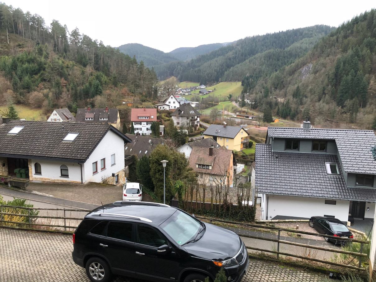 膳宿公寓施瓦茨瓦尔德景观-旅行者