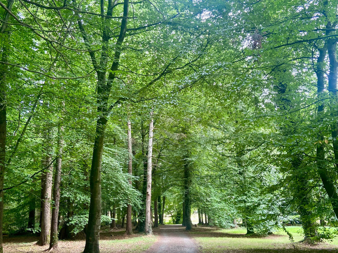 Gosford Forest Park-阿尔马必去景点