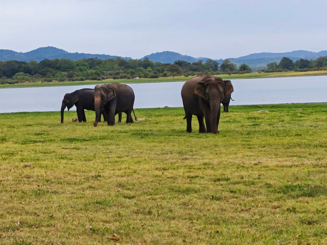 Dim Tours Sri Lanka-班托塔必去景点