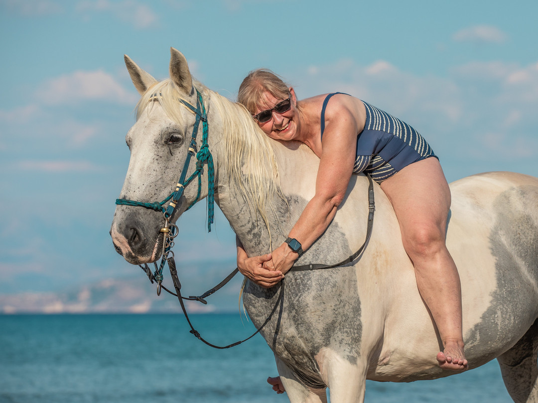 North Corfu Horses-Peritheia必去景点