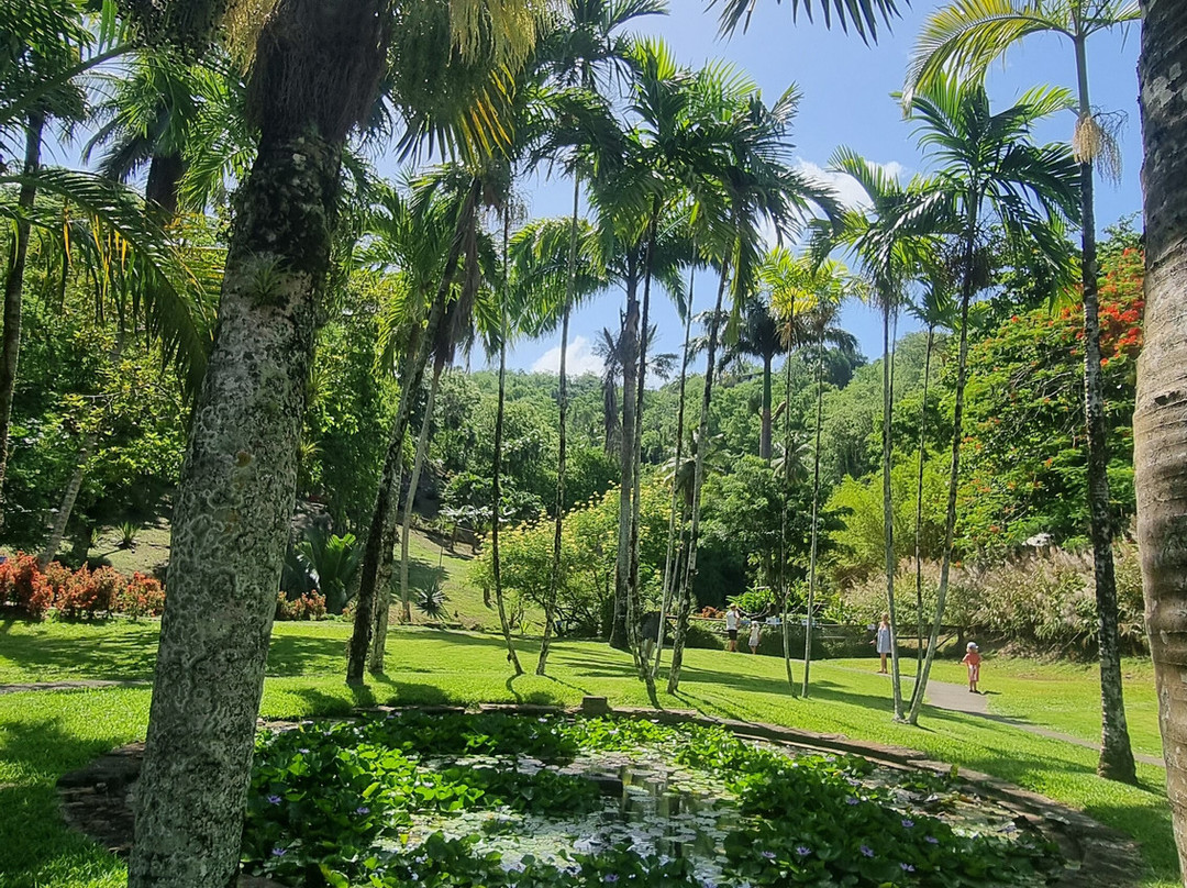 Zoo de Martinique-Le Carbet必去景点