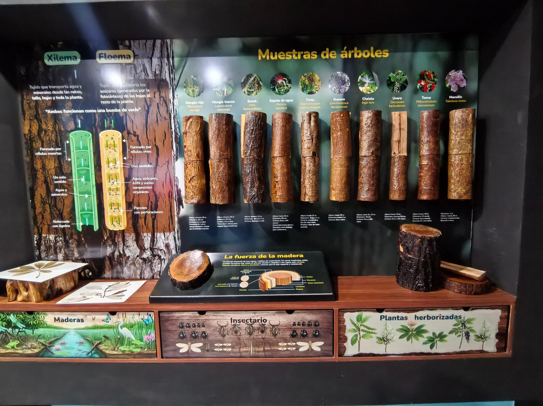 Casa Universitaria del Agua UJAT-Villahermosa必去景点