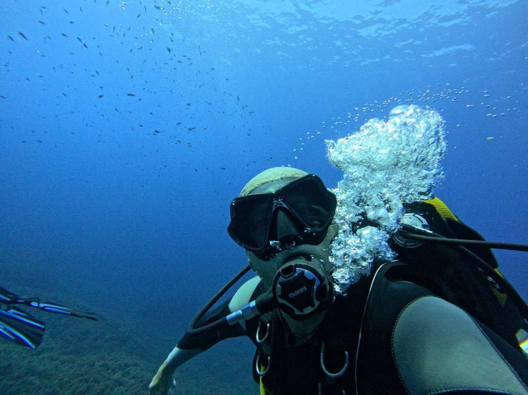 Blu Dive Center-圣特雷莎加卢拉必去景点