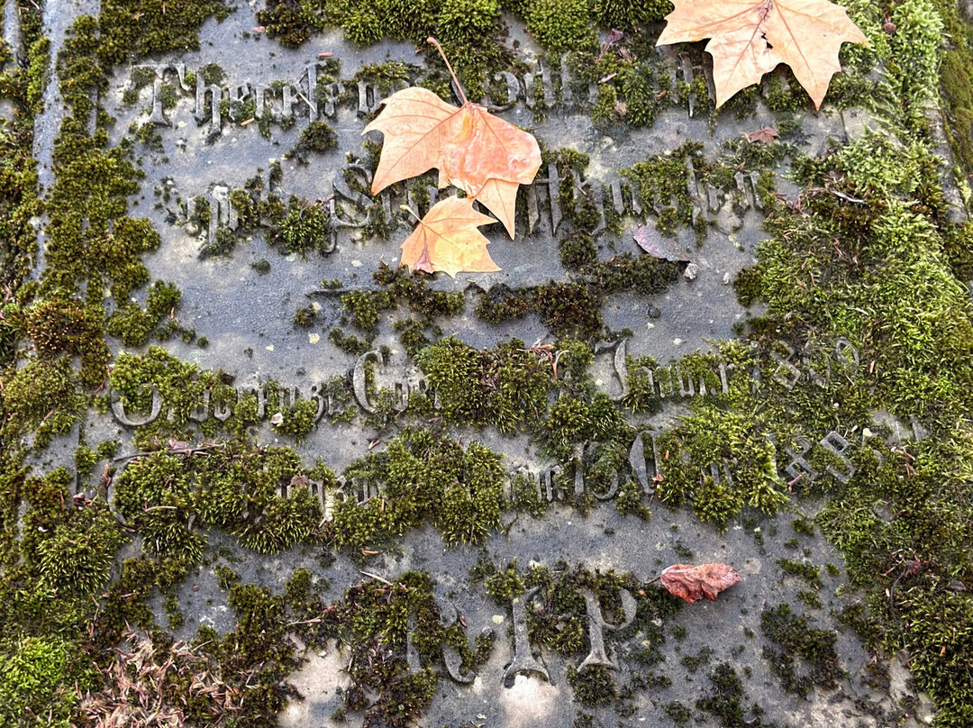 Melaten-Friedhof-科隆必去景点