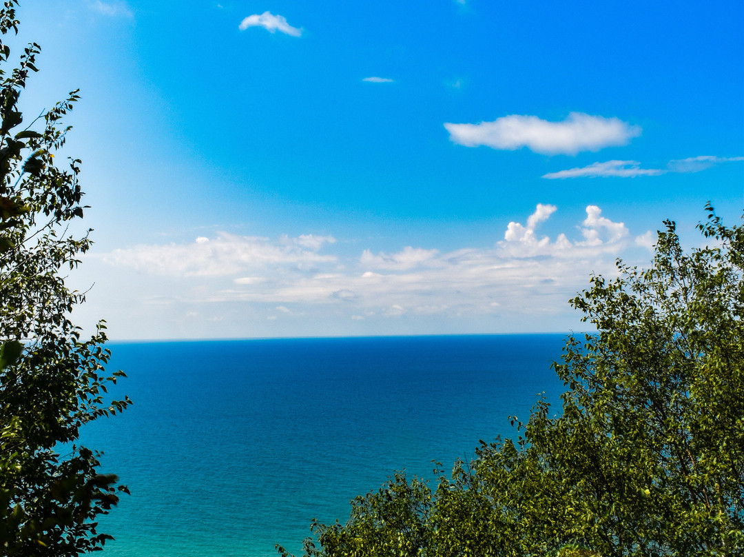 Arcadia Dunes CS Mott Nature Preserve-Arcadia必去景点