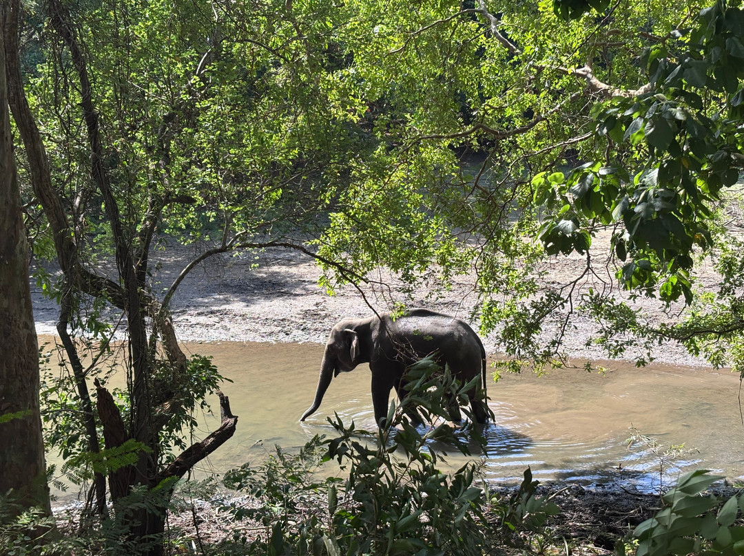 Come Visit Sri Lanka-康提必去景点