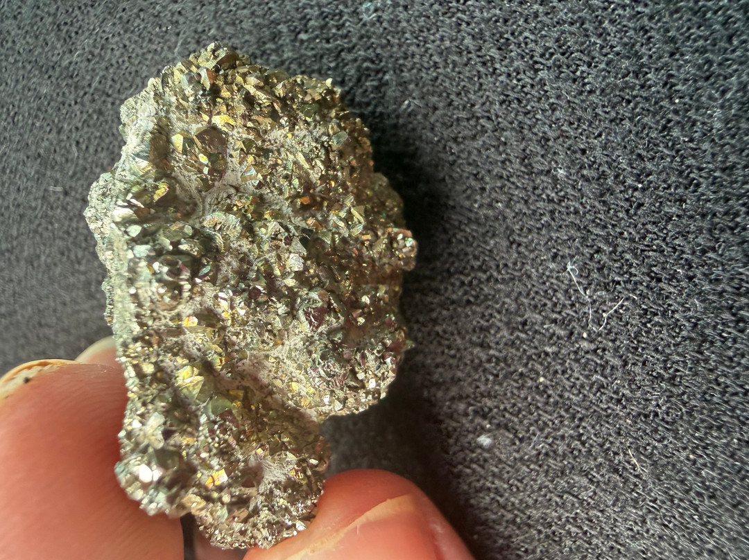 Isle of Wight Fossil Hunts - Island Gems-Godshill必去景点