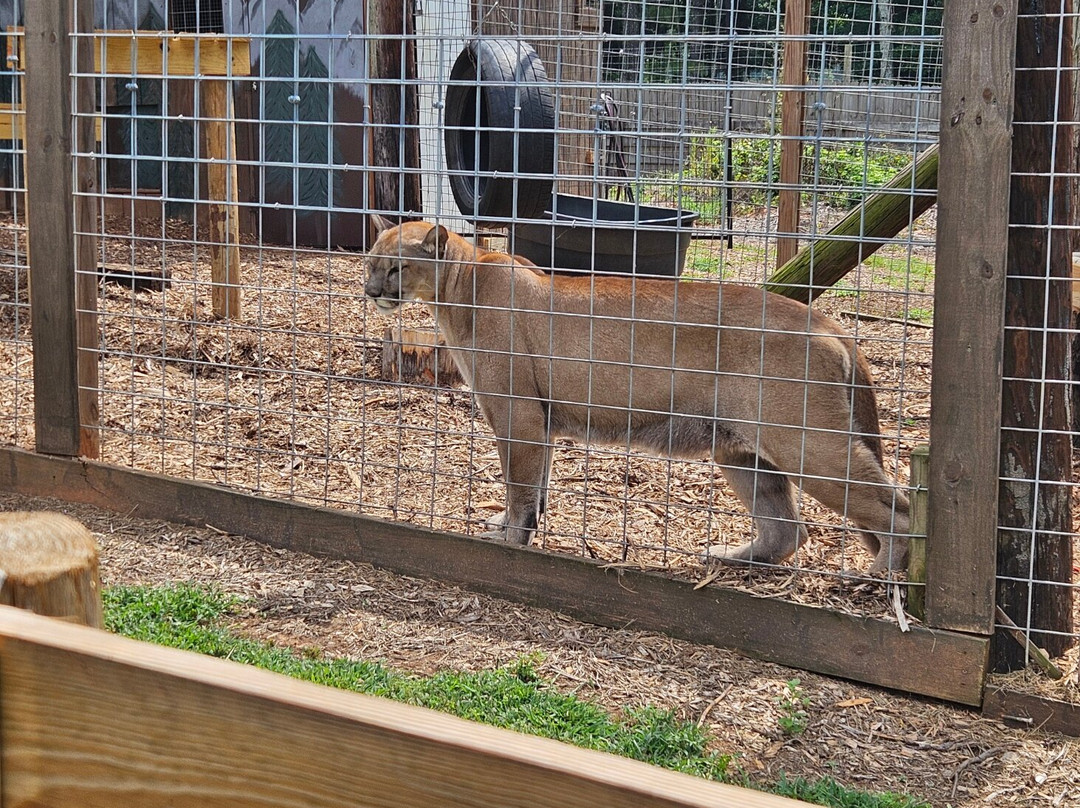 Georgia Untamed Zoo-Hogansville必去景点