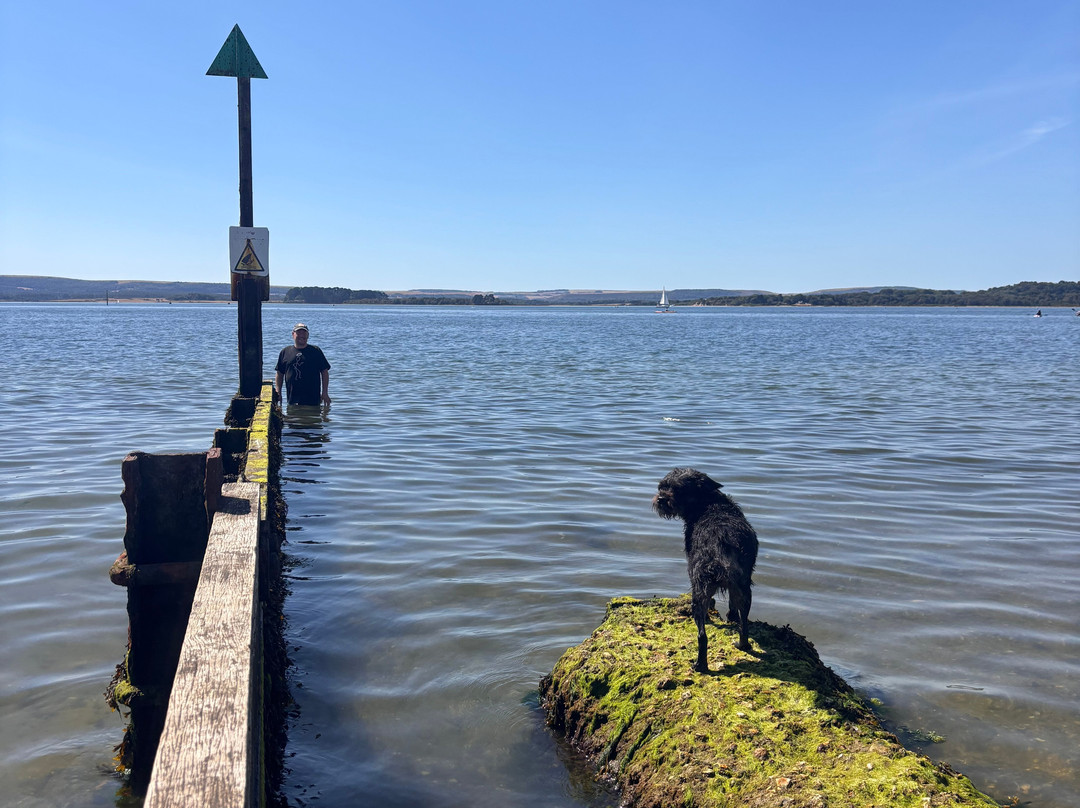 Hamworthy Park-普尔必去景点
