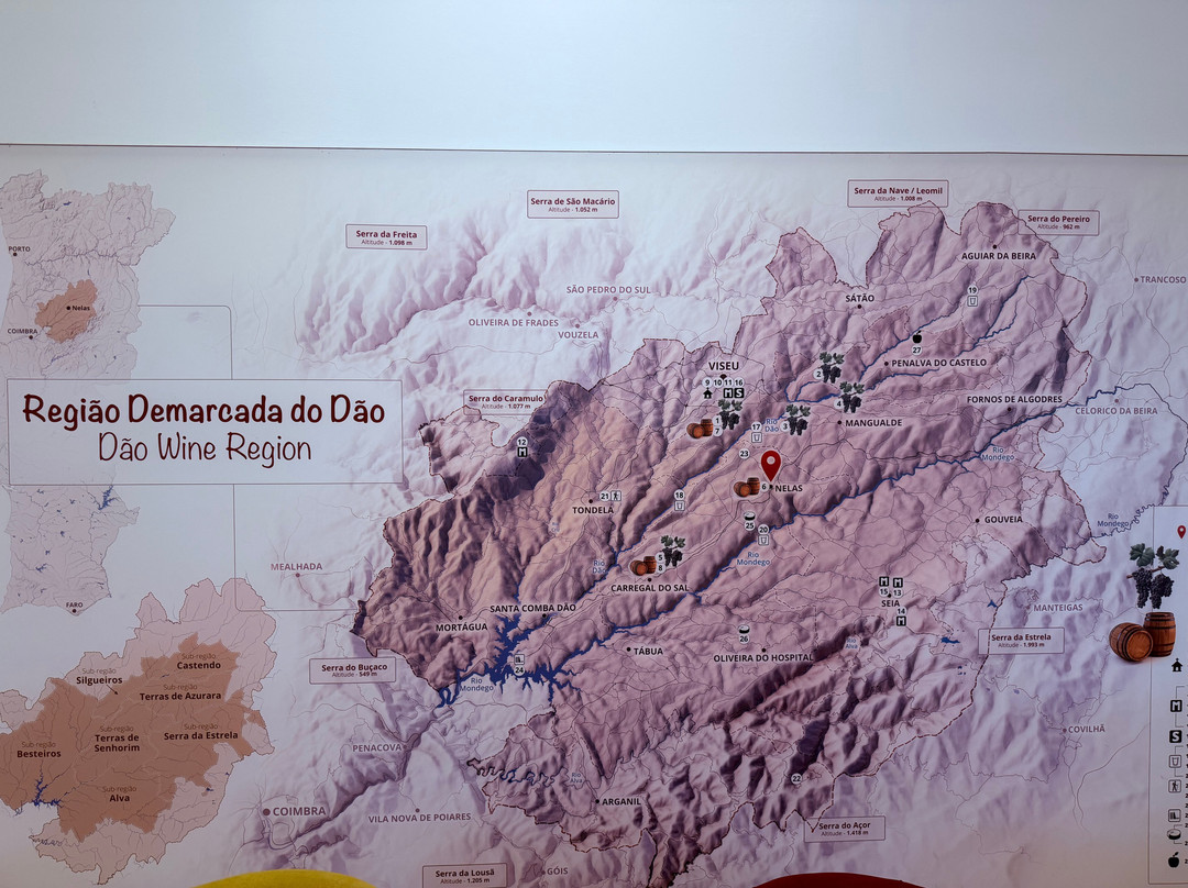 Quinta Pedra Cancela-维塞乌必去景点