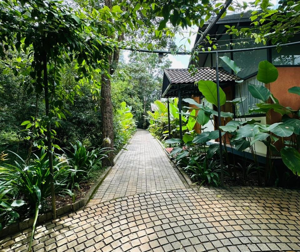 Crystal Kuruva Nature Resort & Spa主图