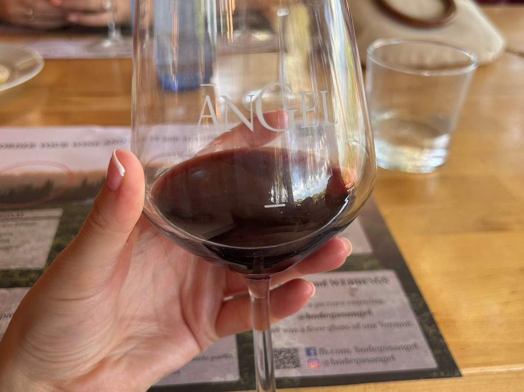 Bodegas Angel-Santa Maria del Cami必去景点