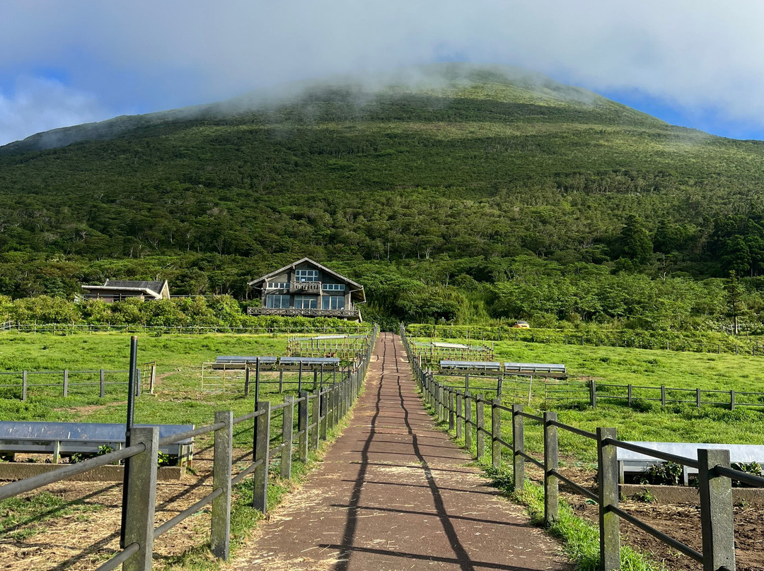 Hachijo Fuji Fureai Bokujo-八丈町必去景点
