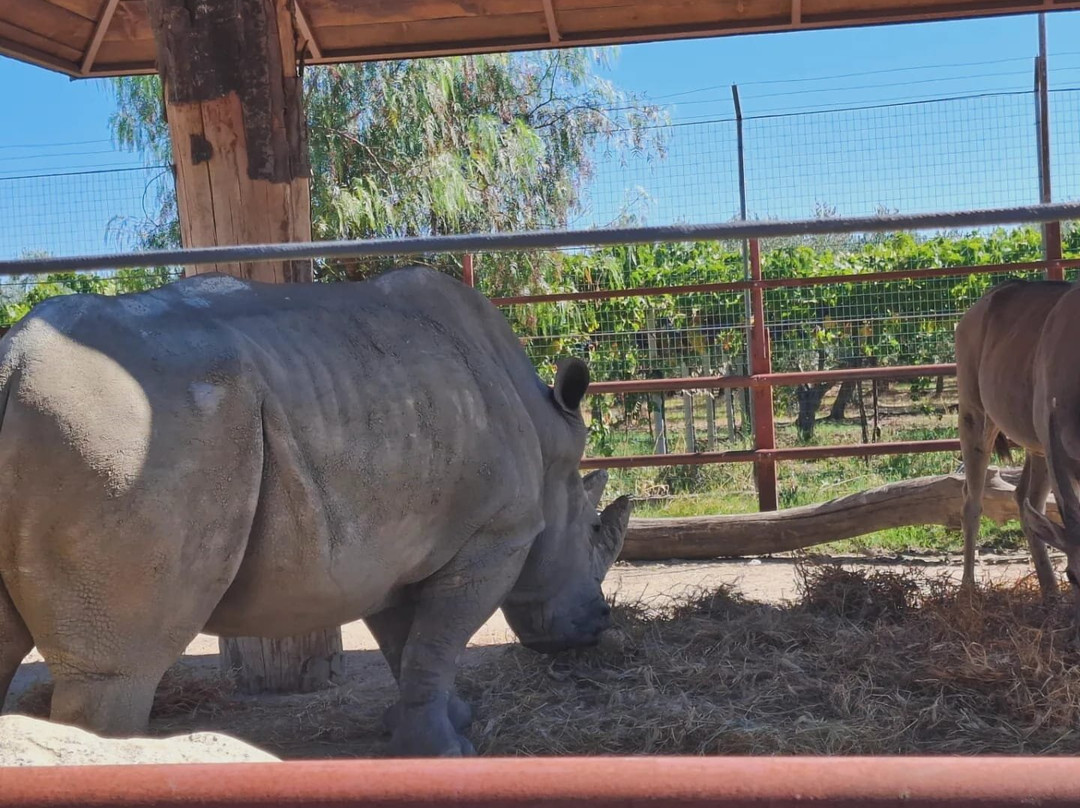 Zoo d'Abruzzo-Rocca San Giovanni必去景点