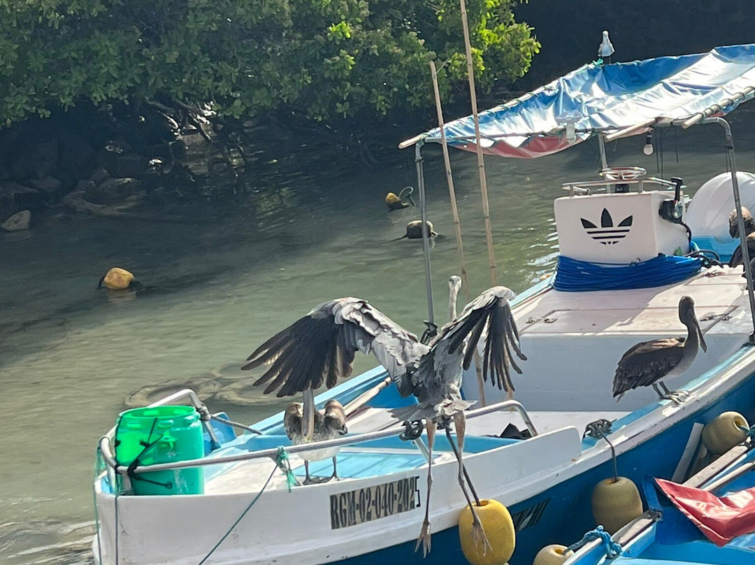 Santa Cruz Fish Market-阿约拉港必去景点