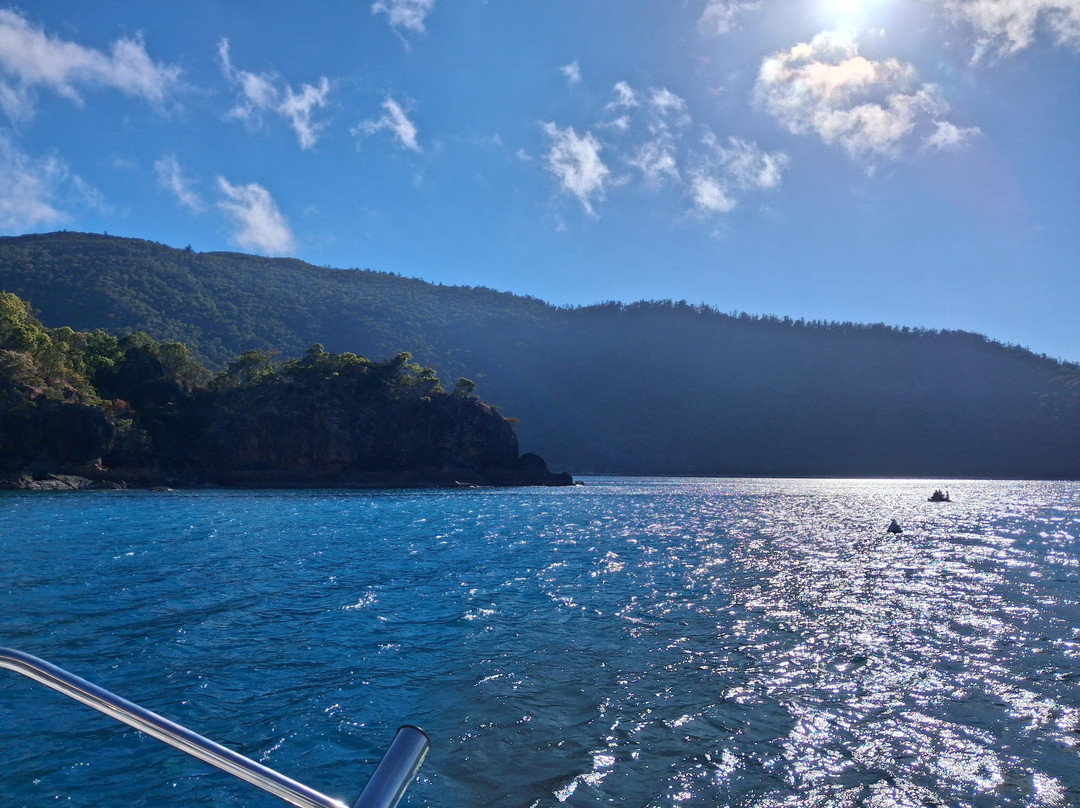 Cumberland Charter Yachts-艾尔利滩必去景点