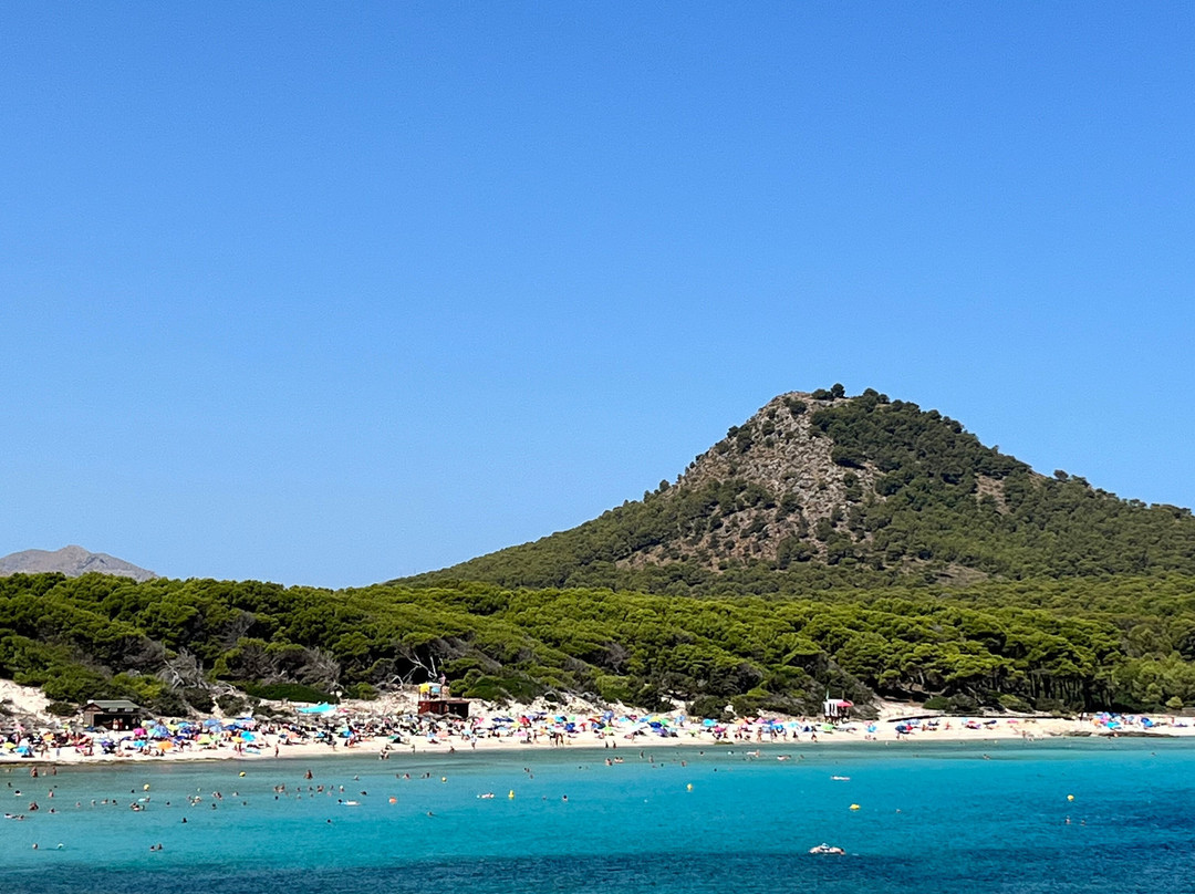 Cala Agulla-Cala Ratjada必去景点