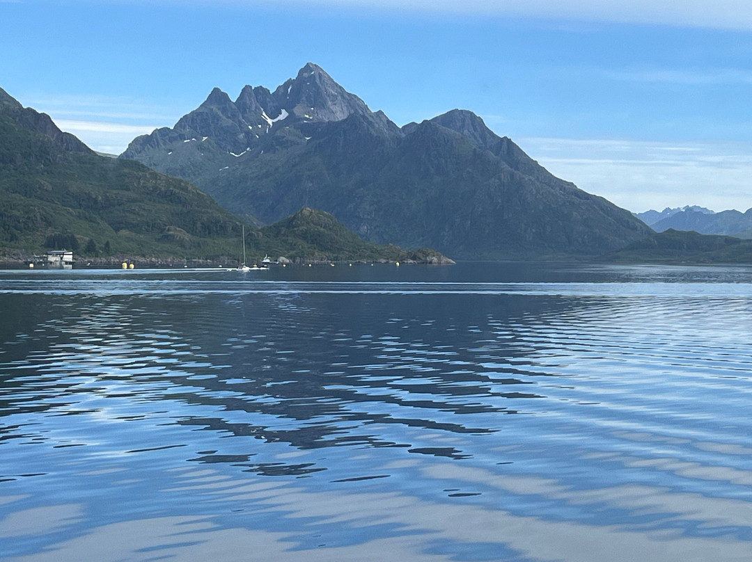 Trollfjord Cruise-斯沃尔韦尔必去景点