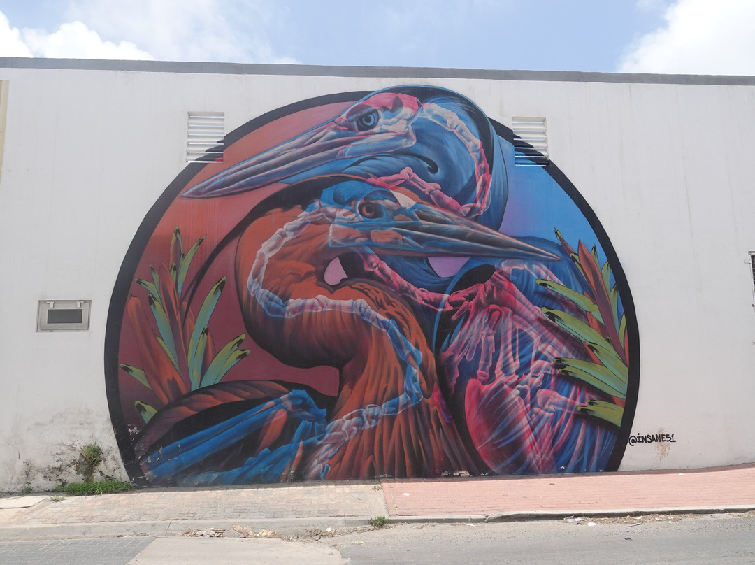 Street Murals By Aruba Art Fair-San Nicolas必去景点