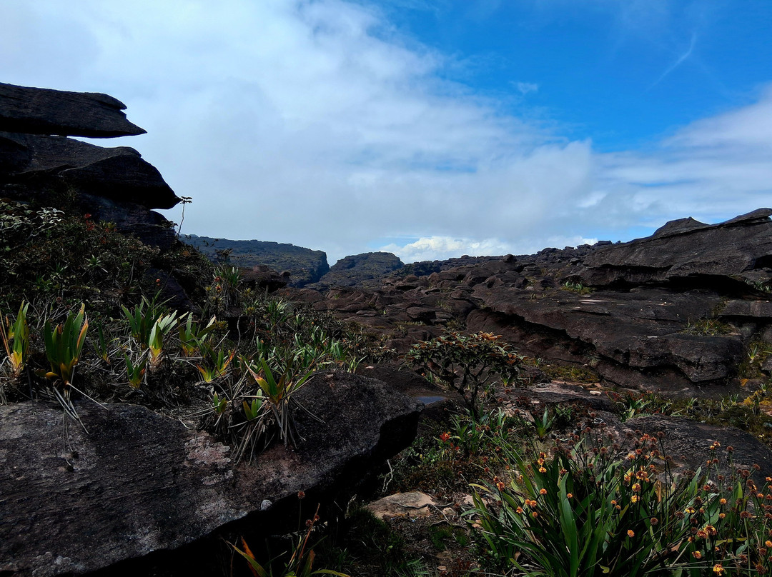 Explora Tepuy-Santa Elena de Uairen必去景点