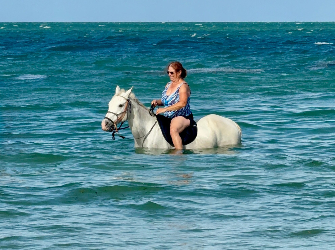 Mozambique Horse Safari-Vilanculos必去景点