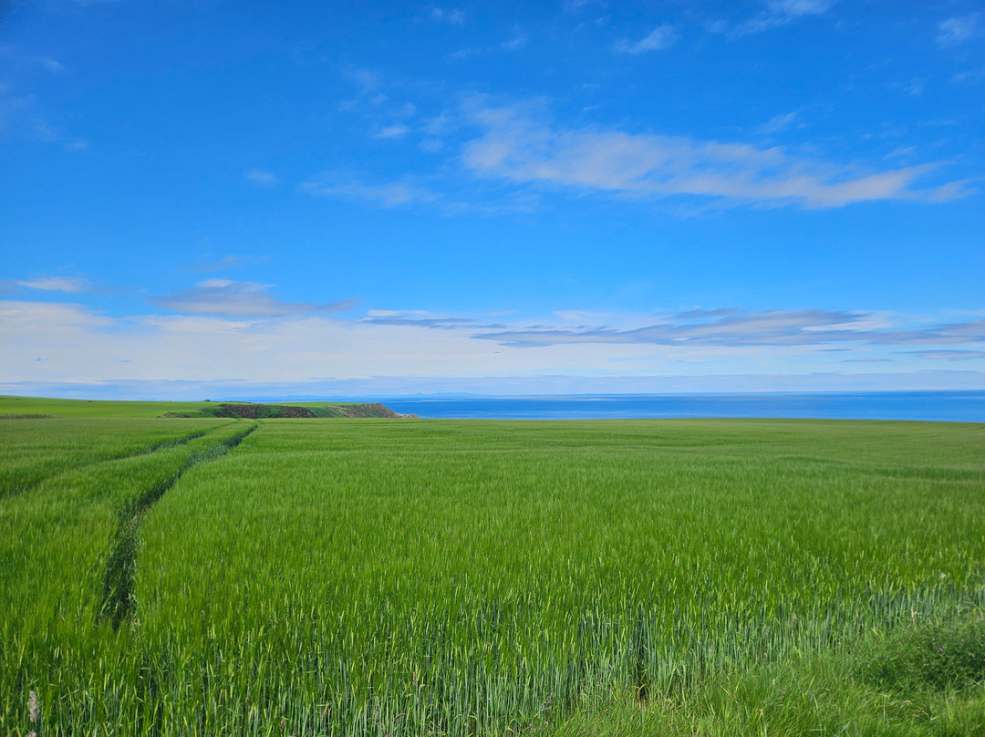 Findlater Castle-Cullen必去景点