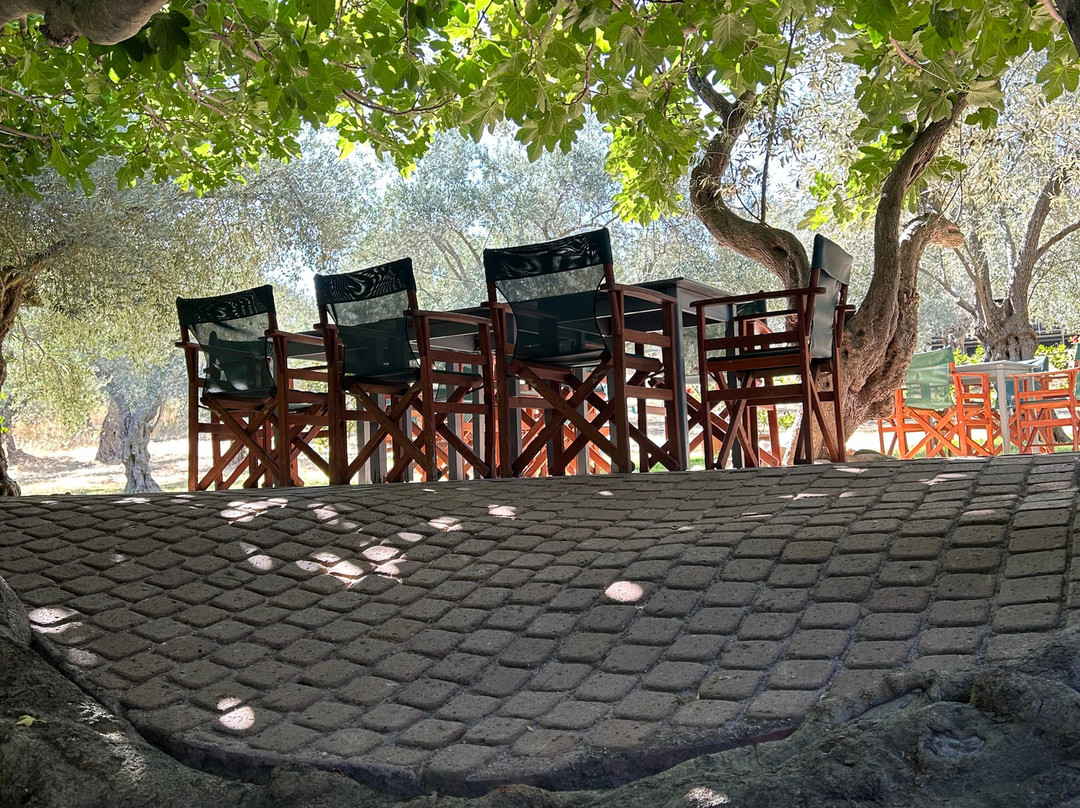 Villa Daphnis & Chloe主图