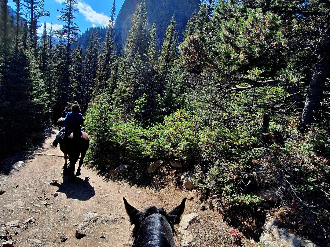 Timberline Tours Ltd. - Private Day Tours-路易斯湖必去景点