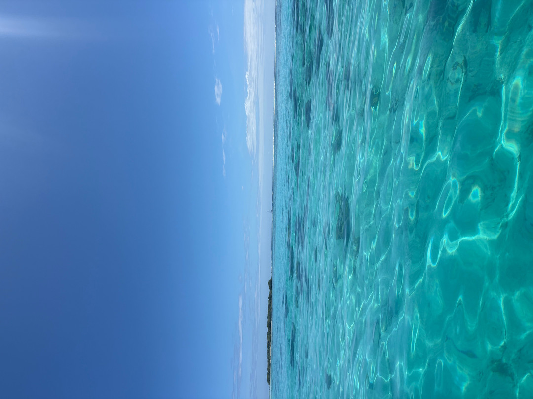 MOOREA TIKI TOUR-Cook's  Bay必去景点