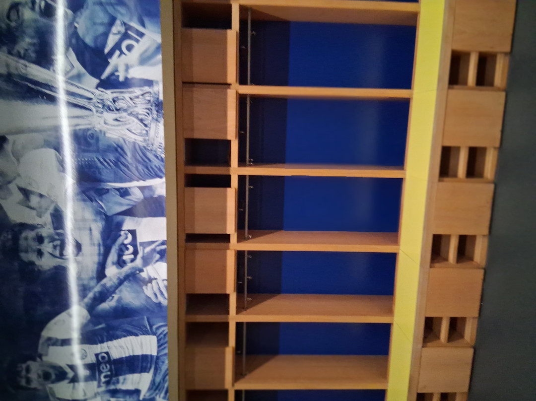 FC Porto Museum-波尔图必去景点