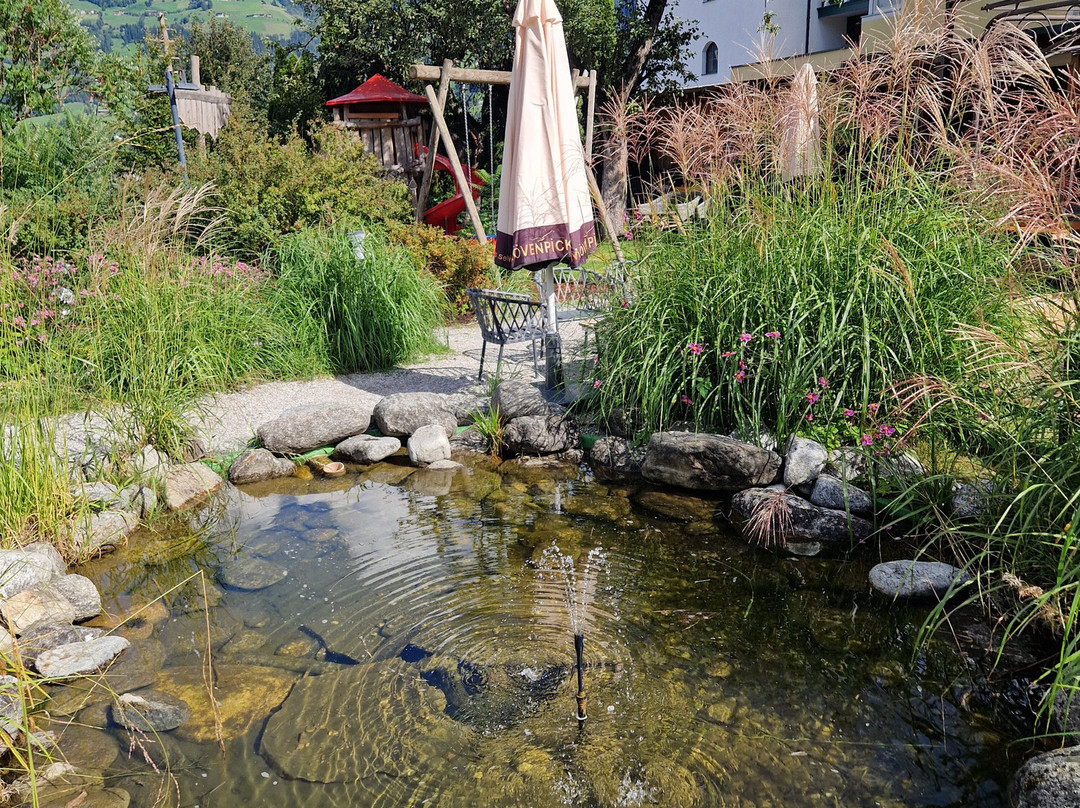 Aktiv und Welnesshotel Kohlerhof 活动与健康酒店主图