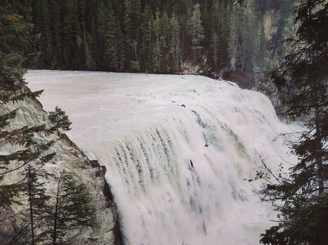 Wapta Falls-幽鹤国家公园必去景点