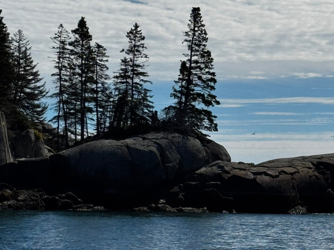 Robertson Sea Tours & Adventures-Milbridge必去景点