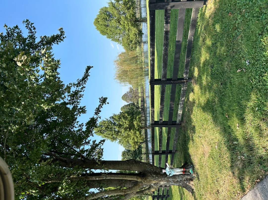 Old Friends at Dream Chase Farm-Georgetown必去景点