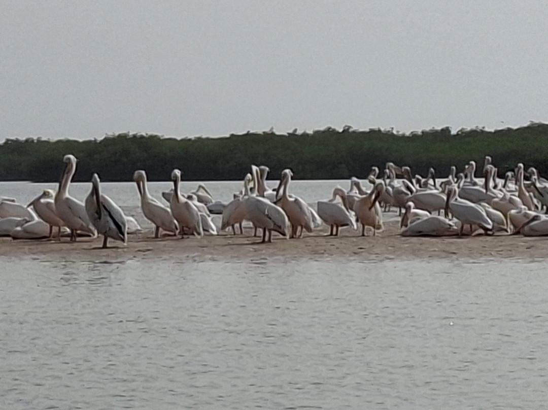 Malick Travel Senegal-Ponto必去景点