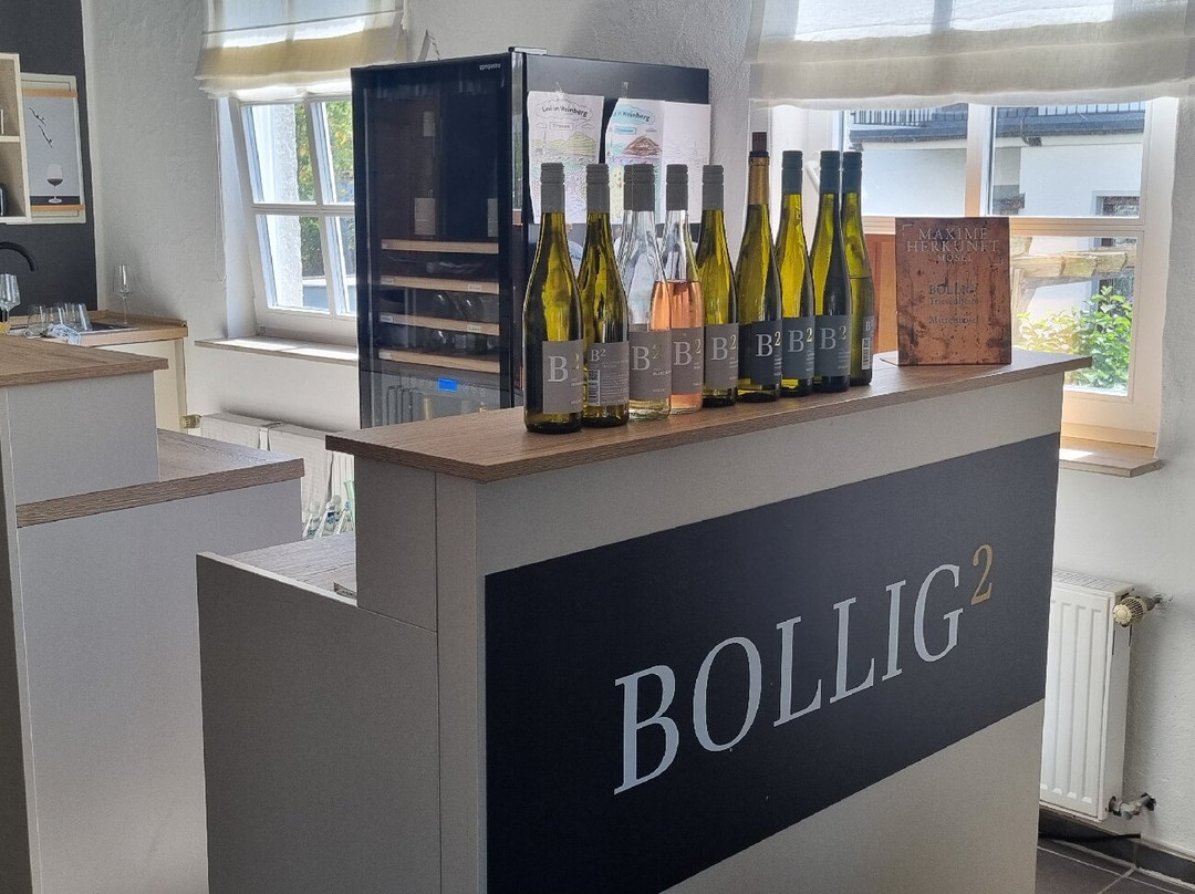 Weingut Bollig²-Trittenheim必去景点