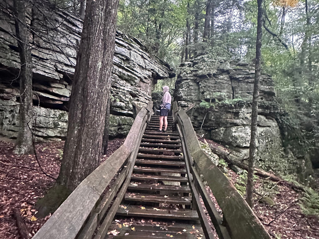 Beartown State Park-Renick必去景点