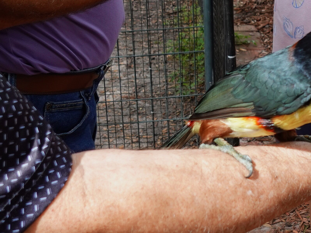 Chase Animal Sanctuary-Webster必去景点